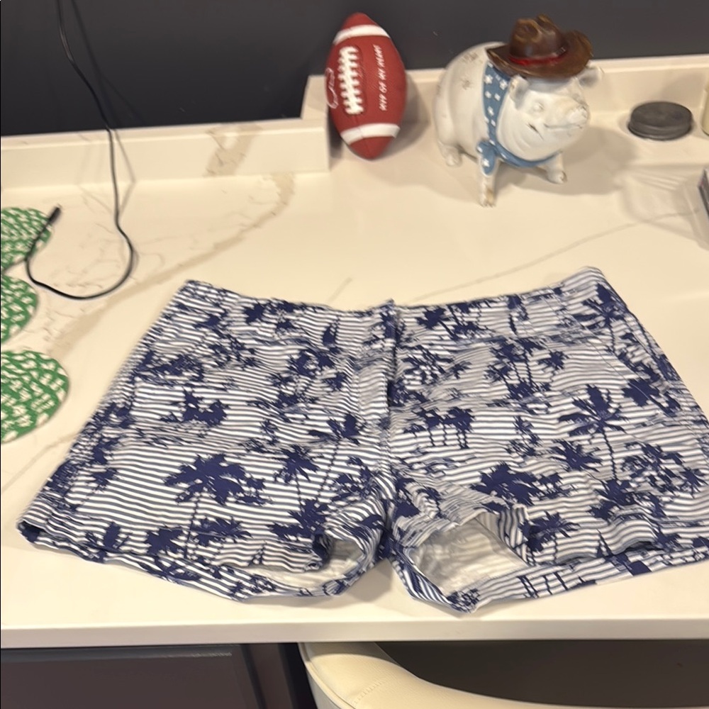 Navy and White Striped Women's Shorts